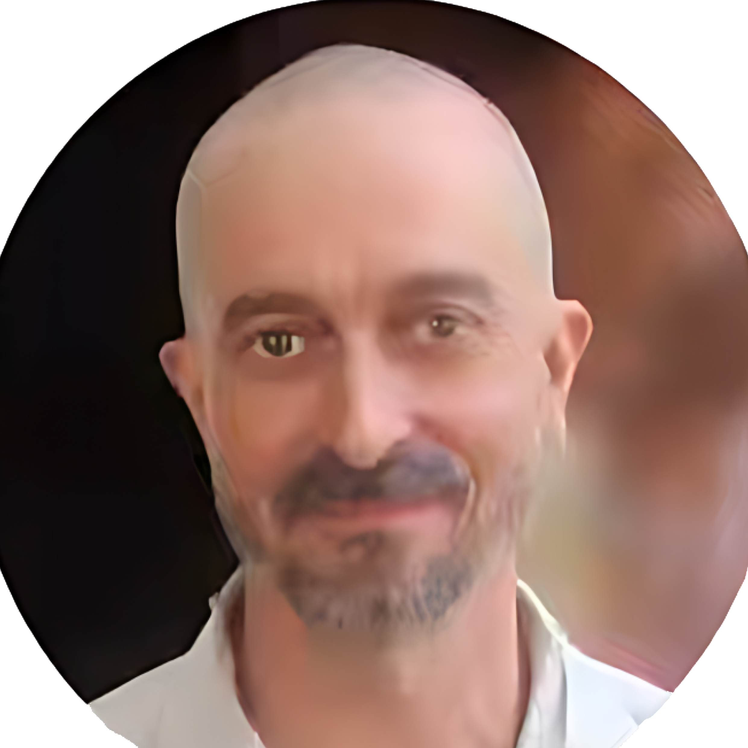 Mr. Laurent Fournier